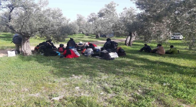 Çanakkalede, jandarma ekipleri son 2 ayda bin 479 düzensiz göçmen yakaladı