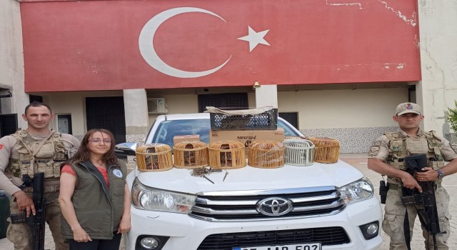 Çatakta kafes avcılığı yapan 1 kişi jandarmaya takıldı