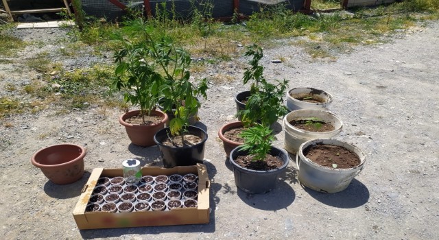 Çekmeköyde, özel düzenek ile evde uyuşturucu imal eden şahıslara operasyon