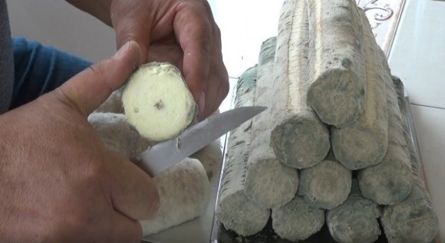 Çorumun 1650 rakımlı yaylasında üretilen peynire ilgi büyük