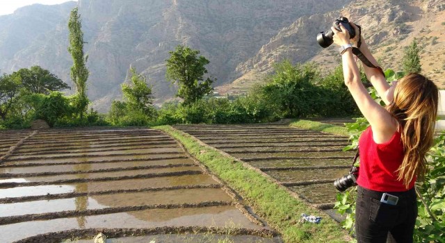 Çukurcadaki çeltik tarlalarına fotoğrafçılardan yoğun ilgi
