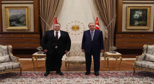 Cumhurbaşkanı Erdoğan, Rusya Federasyonu Başbakan Yardımcısı Overchuku kabul etti