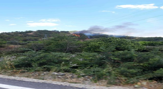 Dalamanda orman yangını