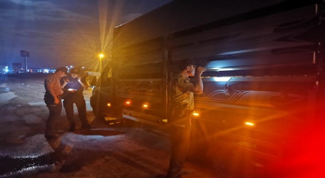 Denizlide 35 düzensiz göçmen ve 5 organizatör yakalandı