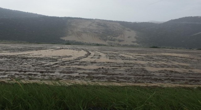 Derebucukta ekili araziler sular altında kaldı