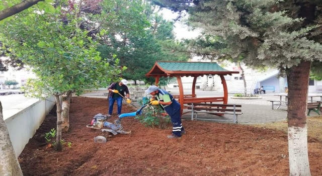 Derincede çevre çalışmaları sürüyor