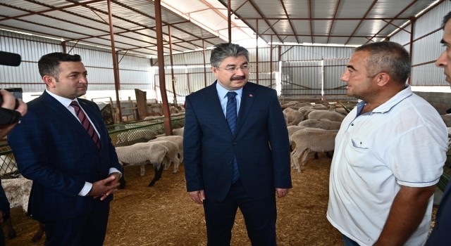 Devlet desteğiyle 100 koyunluk sürü sahibi oldu
