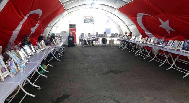 Direnişin annelerinden Üçdağ, HDP gözyaşlarımızda boğulacak