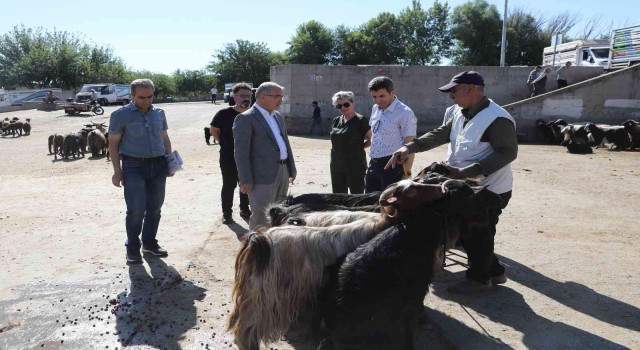 Diyarbakırda kurbanlık satış ve kesim yerleri belirlendi
