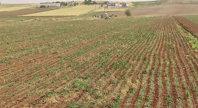 Diyarbakırda yıldırım çarpması sonucu bir çocuk öldü