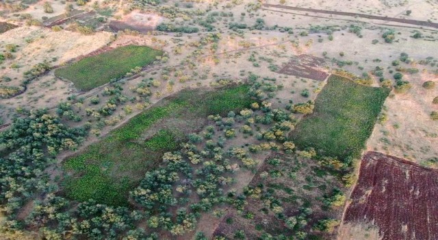 Diyarbakırdaki narko terör operasyonunun ilk gününde 6 milyonu aşkın kök kenevir ele geçirildi