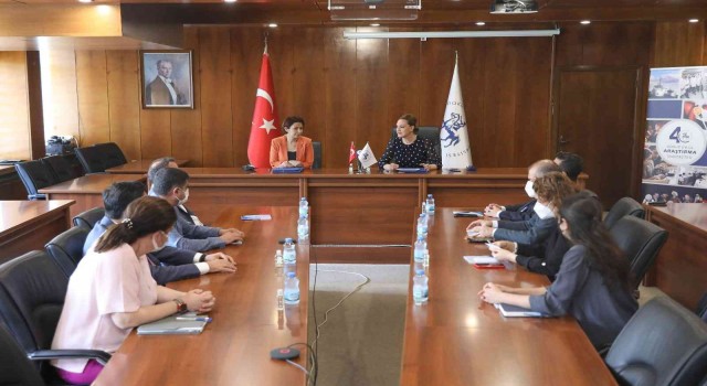 Dokuz Eylül Üniversitesi ve Kiraz Belediyesi can dostlara sahip çıkıyor