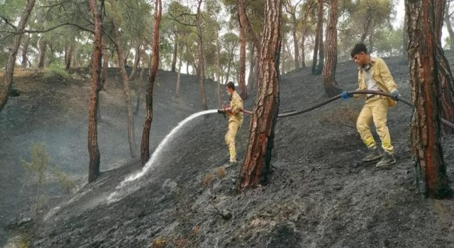 Düşen yıldırım orman yangını çıkardı