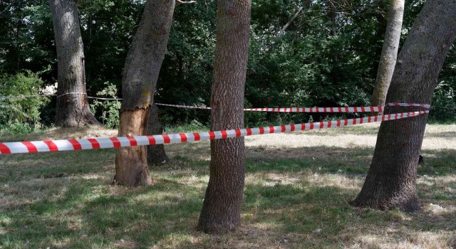 Edirnede ormanlara giriş 3 ay yasaklandı