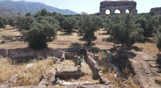 Efelerden Tralleis Antik Kentinde kuru ot temizliği