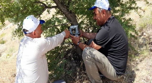 Elazığda fotokapanların bakımı yapıldı