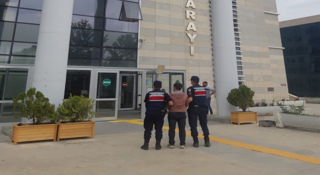 Elazığda hırsızlık suçundan aranan şüpheli jandarma ekipleri tarafından yakalandı