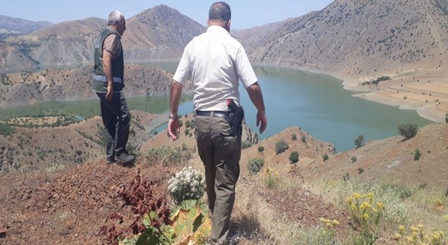 Elazığda kaçak avcılığın önlenmesi için denetimler sürüyor