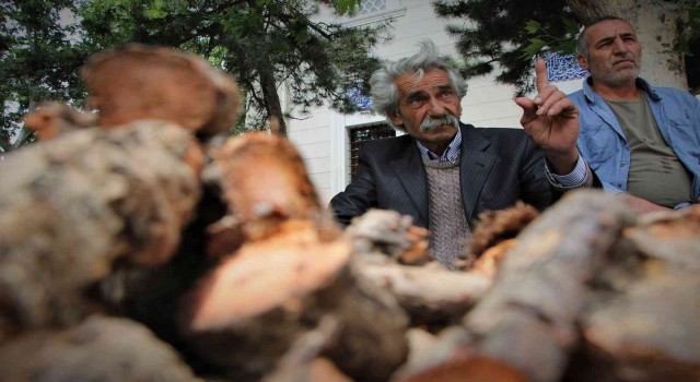 Elazığda şifa deposu olarak bilinen ışkın otu kökü tezgahtaki yerini aldı