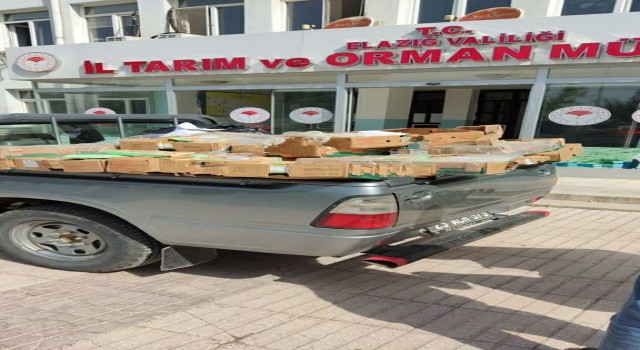 Elazığda son kullanma tarihi geçmiş gıdalar imha edildi