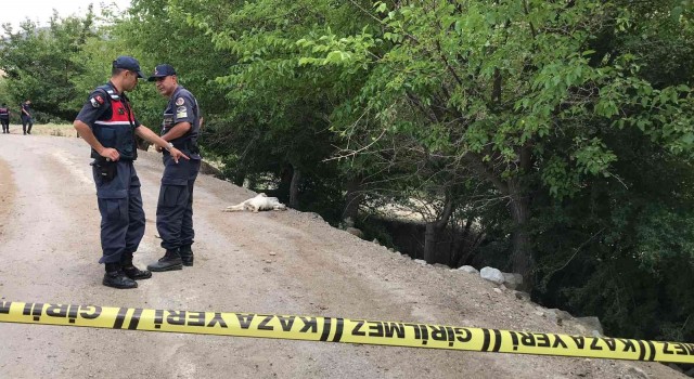 Elazığda tarla sulama kavgası: 5 yaralı