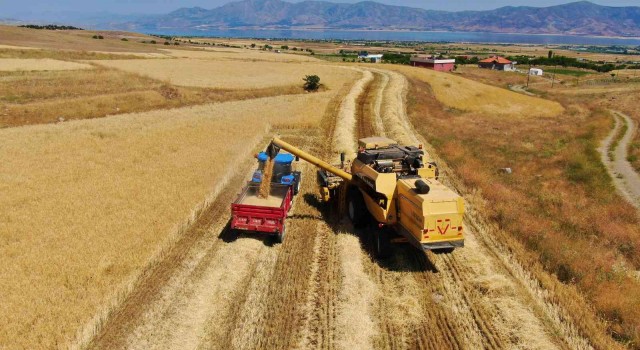 Elazığda yılın ilk arpa hasadı gerçekleştirildi