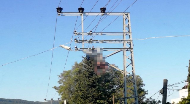 Elektrik direğinde akıma kapılarak hayatını kaybetti