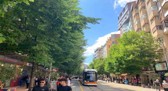 Eskişehiri ıhlamur kokusu sardı