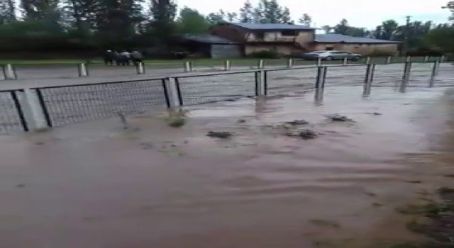Etkili olan sağanak dereleri taşırdı