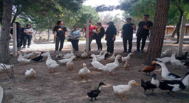 Evcil hayvan parkı çocukların gözde mekanı oldu