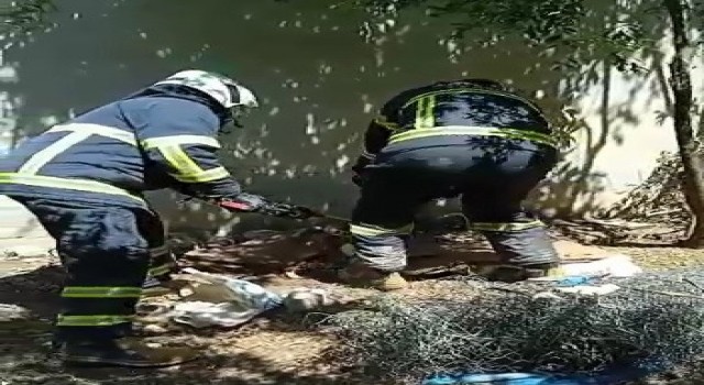 Evin bahçesindeki 2 metre uzunluğundaki yılan yakalanarak doğaya bırakıldı
