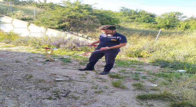 Evlerin arasında dolaşan yılanı itfaiye ekipleri yakaladı