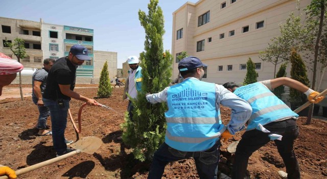 Eyyübiyede yeşillendirme seferberliği devam ediyor
