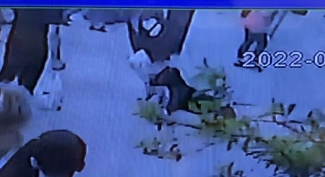Fatihte köpeğe eziyet eden kişiye linç girişimi