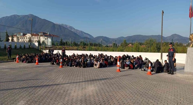 Fethiyede 240 düzensiz göçmen yakalandı
