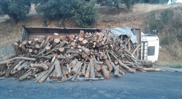 Freni boşalan kamyonun sürücüsü ölümden döndü