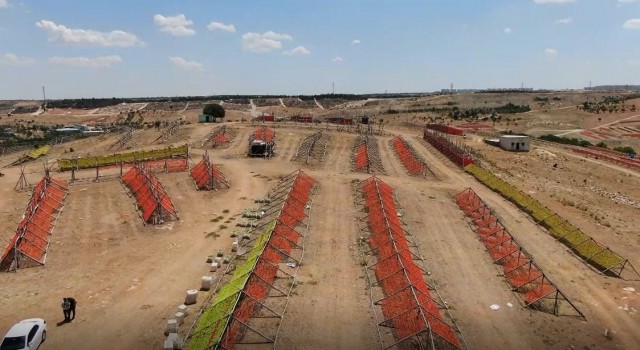 Gaziantepte sezonun ilk kurutmalıkları güneşe bırakıldı