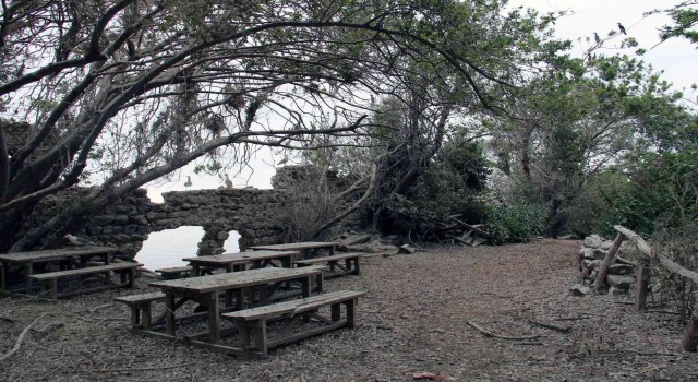 Giresun Adasına gezi yasağı kararına turizmcilerden tepki