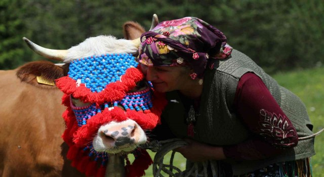 Gümüşhanede yayla göçü başladı