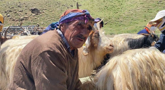 Hakkaride 2 bin küçükbaş hayvan dağıtıldı