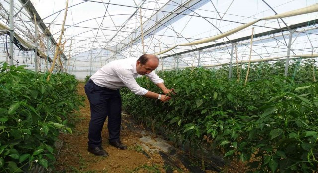 Hasat vaktinde çiftçiler yalnız bırakılmıyor