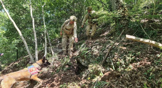 Hatayda Amanoslar kırsalında tuzaklanmış patlayıcı imha edildi