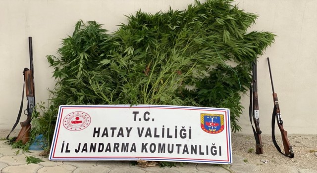 Hatayda uyuşturucu operasyonu
