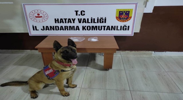 Hatayda uyuşturucu operasyonu: 5 gözaltı