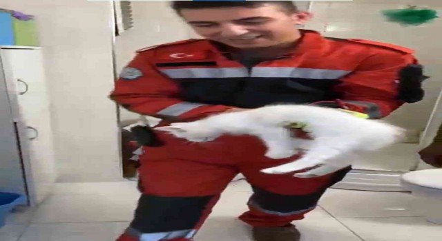 Havalandırma boşluğuna düşen kediyi itfaiye kurtardı