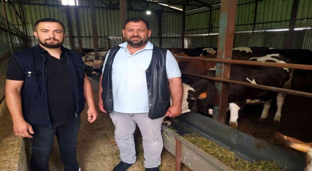 Hayvan dolandırıcılığına dikkat