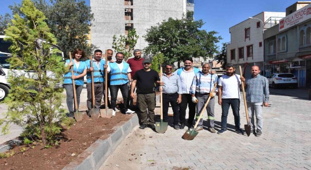 Hayvan severler çevre gününde ağaç dikti