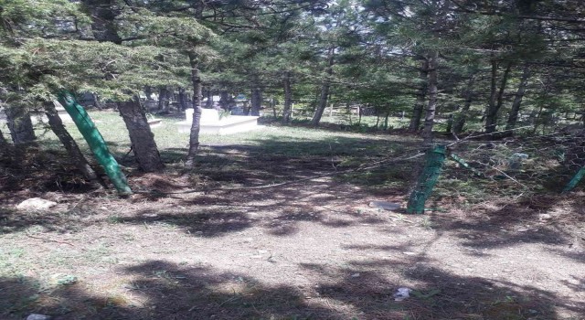 Hırsızlar mezarlığa dadandı