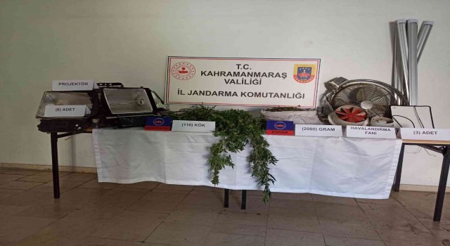 İkametinde uyuşturucu yetiştiren bir kişi yakalandı