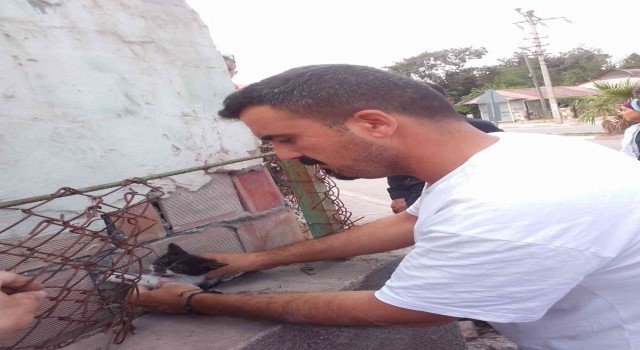 İki duvar arasında sıkışan kediyi belediye personeli kurtardı